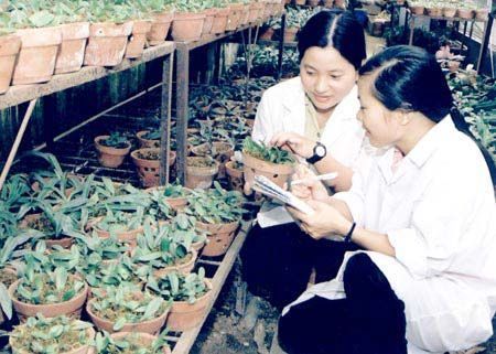 Thiếu nhân lực ngành nông lâm ngư nghiệp